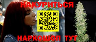 мет Кингисепп