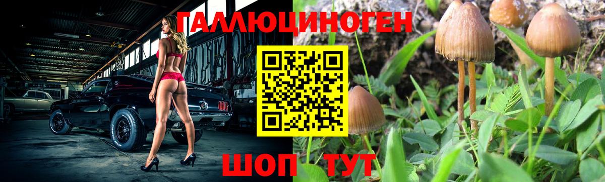 Галлюциногенные грибы мухоморы  Вход с VPN  Казань 